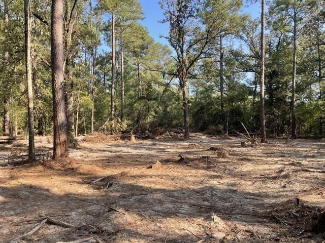 Laurie Dr, Hammond, LA 70403