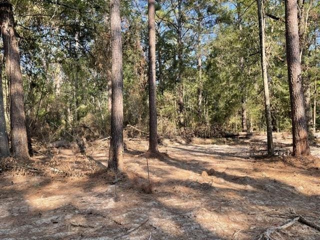 Laurie Dr, Hammond, LA 70403