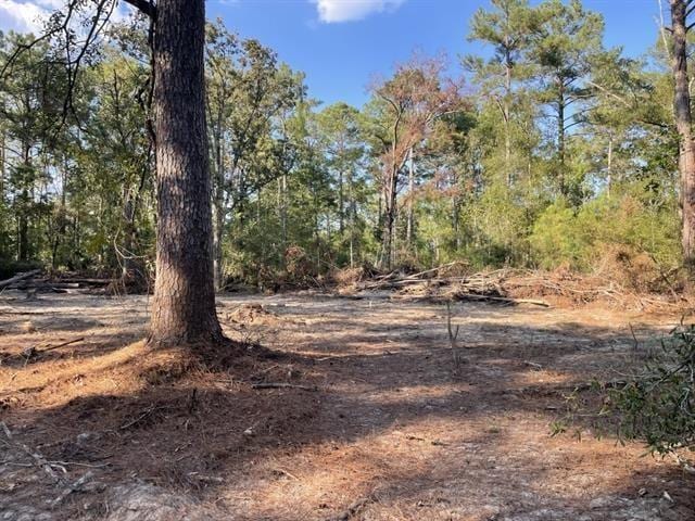 Laurie Dr, Hammond, LA 70403