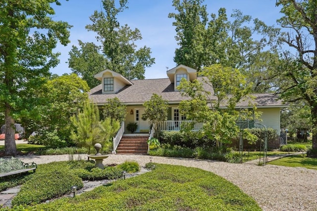 cape cod-style house with a porch and a shingled roof