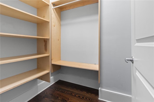 spacious closet with dark wood-type flooring