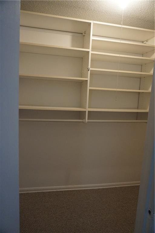 spacious closet with carpet flooring