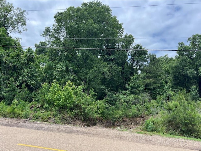 TBD Mike Cooper Rd, Ponchatoula, LA 70454