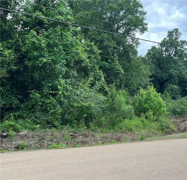 TBD Mike Cooper Rd, Ponchatoula, LA 70454