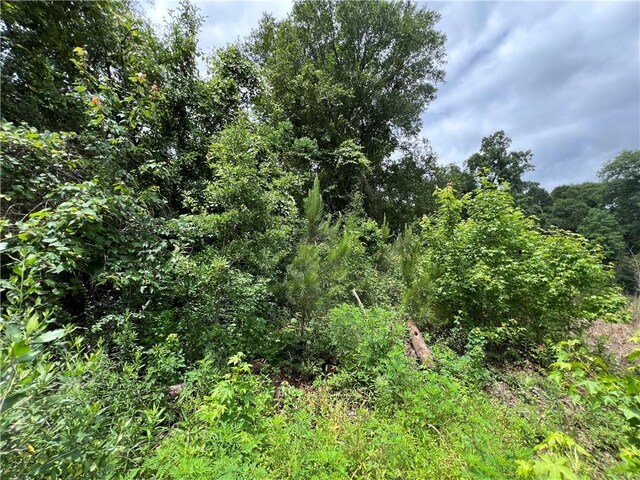 TBD Mike Cooper Rd, Ponchatoula, LA 70454