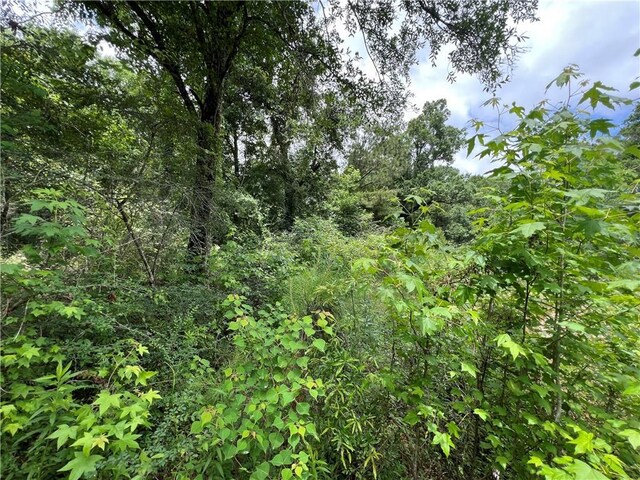 TBD Mike Cooper Rd, Ponchatoula, LA 70454