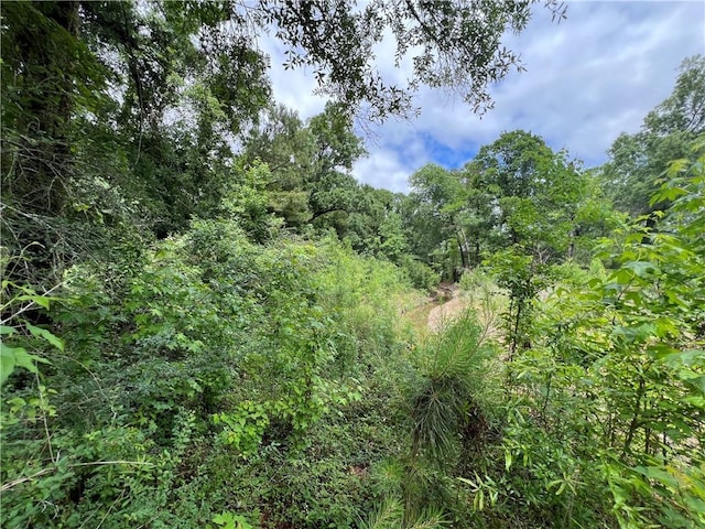 TBD Mike Cooper Rd, Ponchatoula, LA 70454