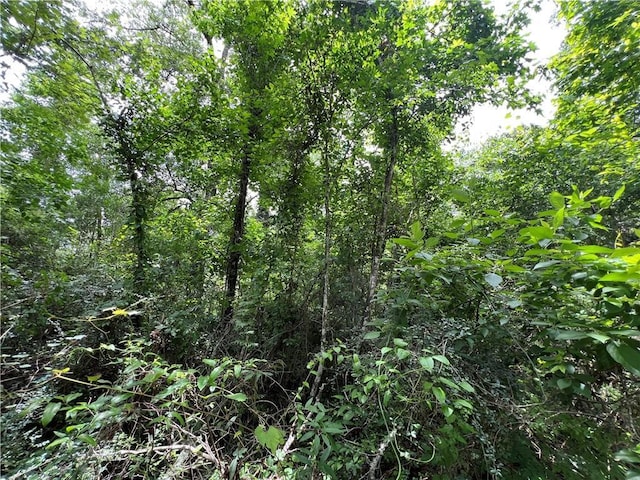 TBD Mike Cooper Rd, Ponchatoula, LA 70454