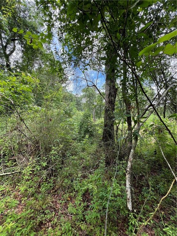 TBD Mike Cooper Rd, Ponchatoula, LA 70454