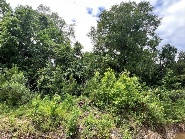 TBD Mike Cooper Rd, Ponchatoula, LA 70454