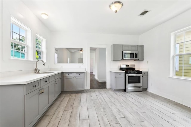 kitchen featuring gray cabinets, stainless steel appliances, a sink, and light wood-type flooring