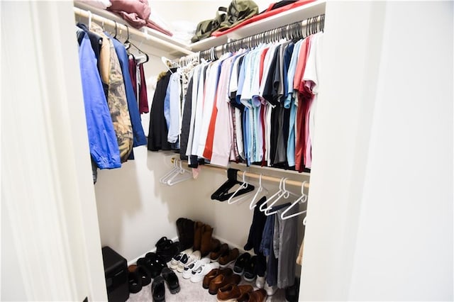 view of walk in closet