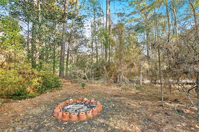 19635 Sunshine Ave, Covington, LA 70433 - view of yard