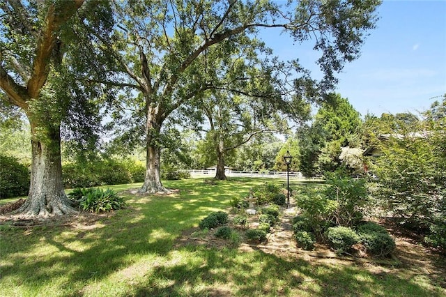 16768 Kat Kaw Rd, Franklinton, LA 70438 - view of grassy yard