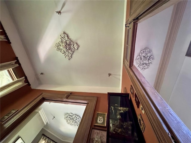 detailed view