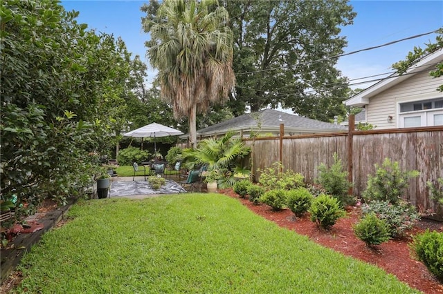 view of yard featuring a patio area