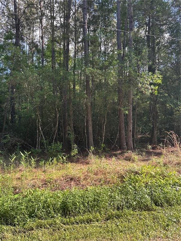 36312 Rheusaw Crawford Rd, Pearl River, LA 70452