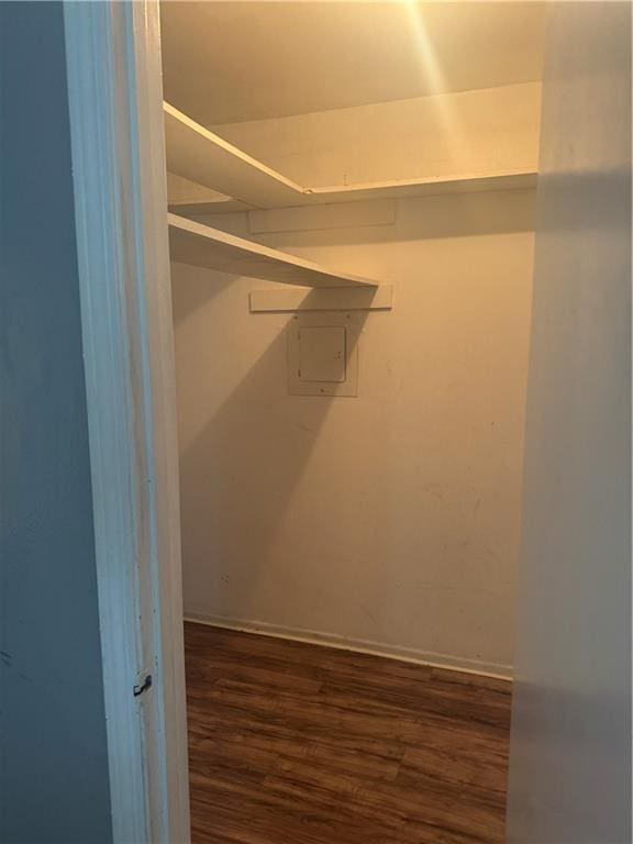 spacious closet featuring wood finished floors