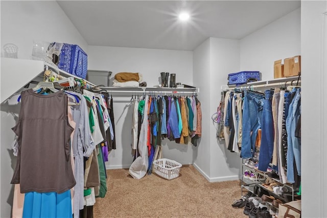 spacious closet featuring carpet