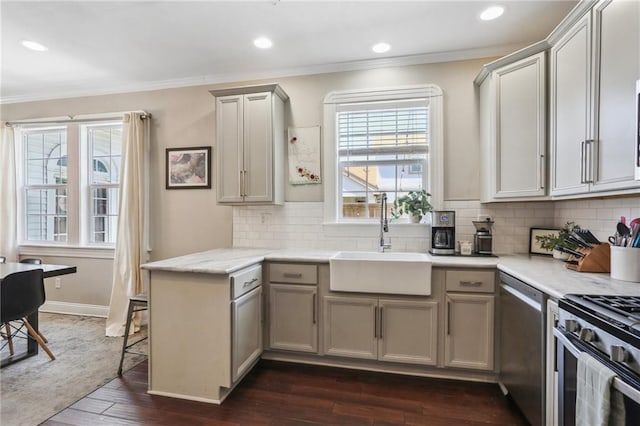 kitchen with stainless steel dishwasher, a sink, ornamental molding, plenty of natural light, and dark wood finished floors