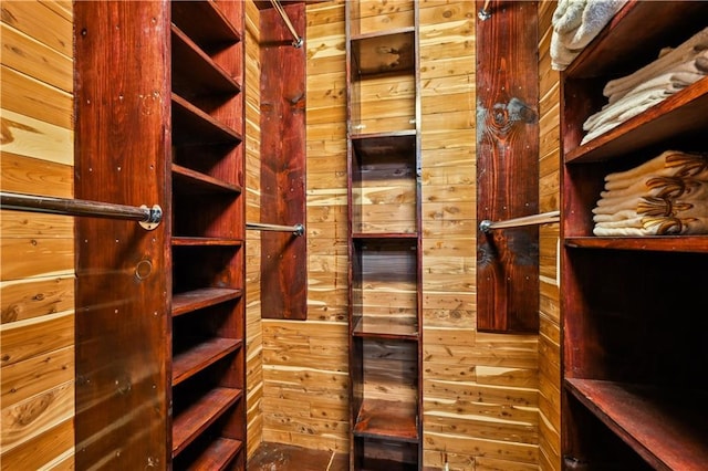 920 Poeyfarre St Unit 109, New Orleans, LA 70130 - view of spacious closet
