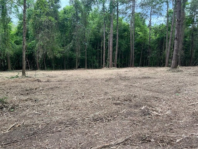 0 Dad Penton Rd, Bush, LA 70431 - photo 1