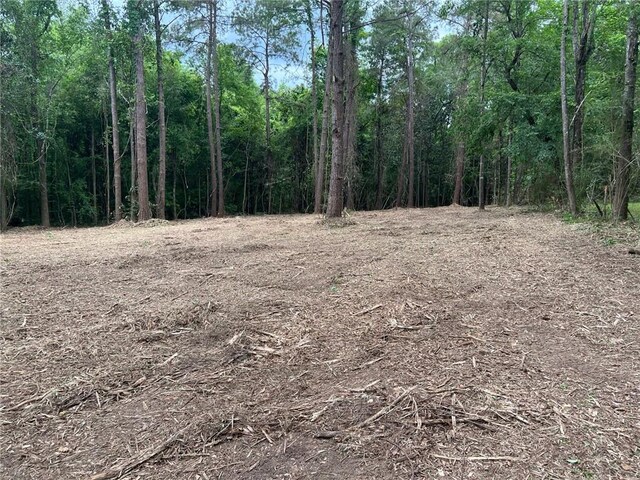 0 Dad Penton Rd, Bush, LA 70431 - photo 6