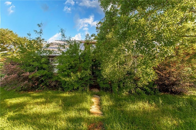710 W Michigan St, Hammond, LA 70401 - view of nature