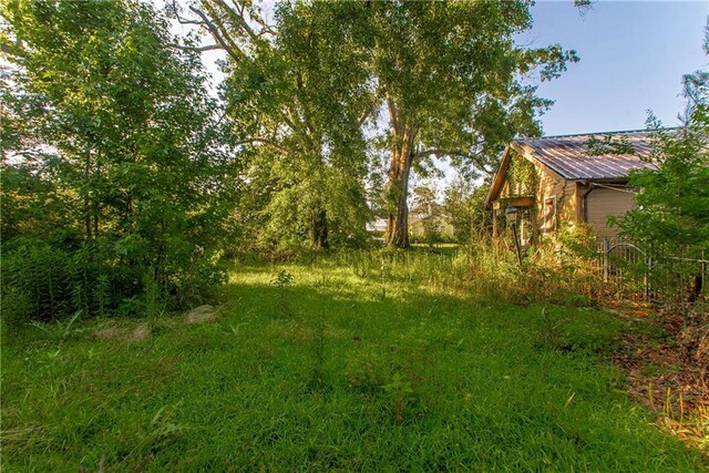 710 W Michigan St, Hammond, LA 70401 - view of yard