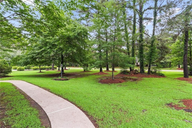 213 Secluded Oaks Ln, Madisonville, LA 70447 - view of property's community featuring a yard