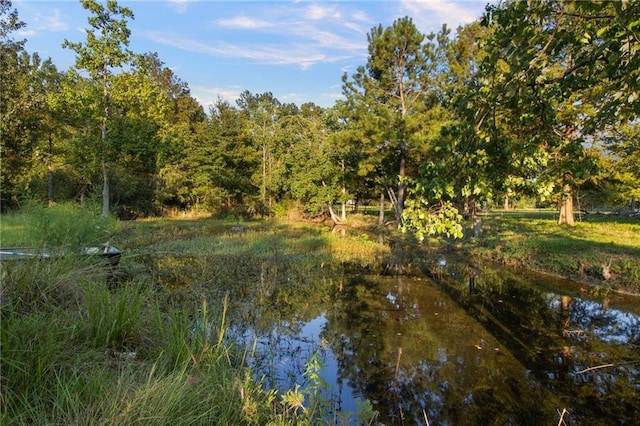 42262 Yokum Rd, Ponchatoula, LA 70454 - water view