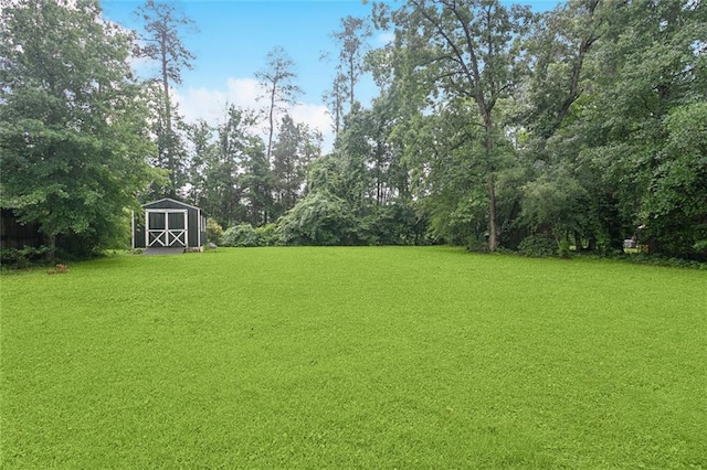 46 Begonia Dr, Covington, LA 70433 - view of grassy yard featuring a shed, an outdoor structure, and view of scattered trees