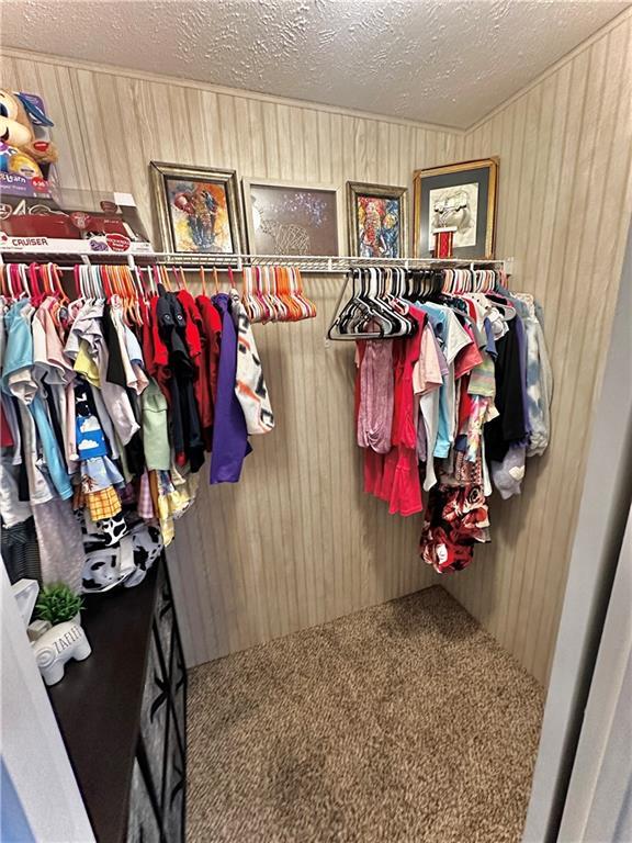 40140 Fire Tower Rd, Ponchatoula, LA 70454 - mudroom with wood walls, carpet floors, and a textured ceiling