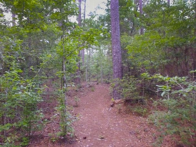 2040 Cypress Bend Ln, Madisonville, LA 70447 - view of tree filled area