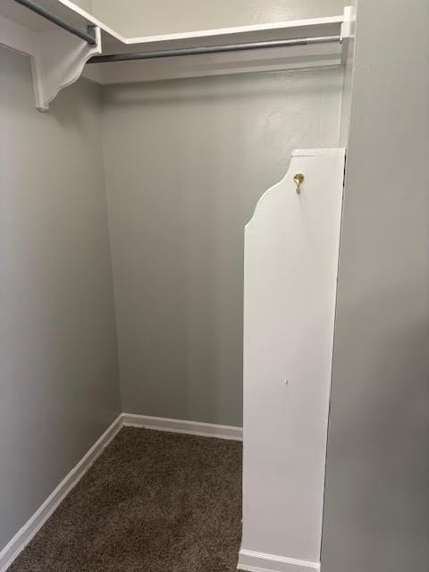 138 Woodland Ridge Dr, Mccomb, MS 39648 - walk in closet with carpet floors