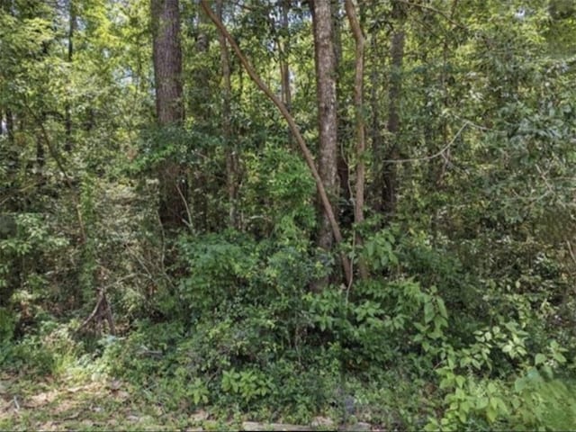 W 6th Ave, Covington, LA 70433