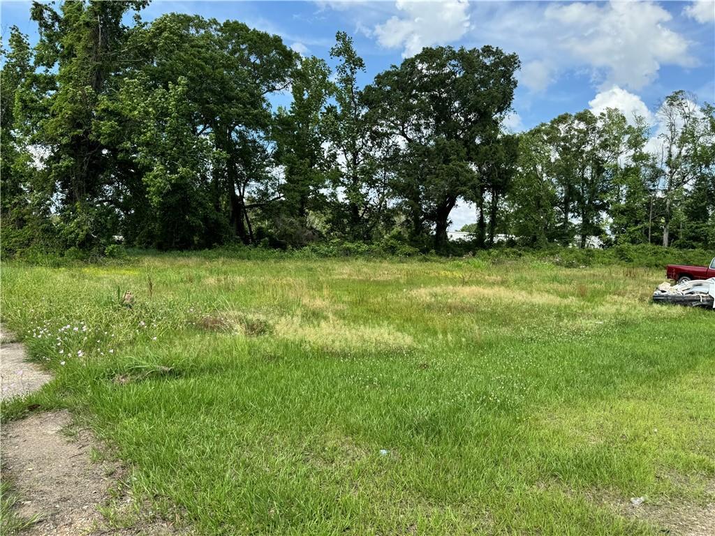Commercial St, Roseland, LA 70456 - photo 2