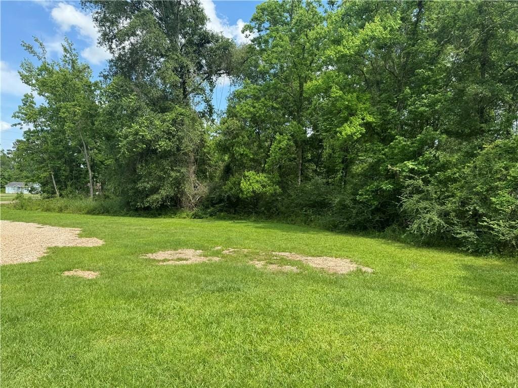 Commercial St, Roseland, LA 70456 - photo 3