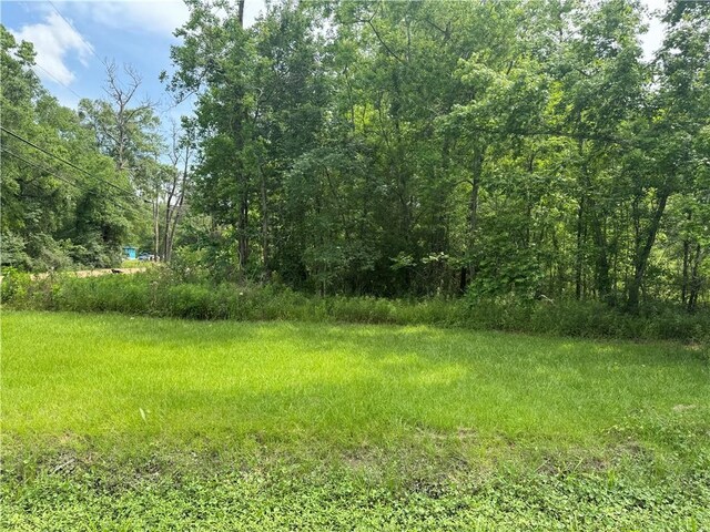 Commercial St, Roseland, LA 70456 - photo 4