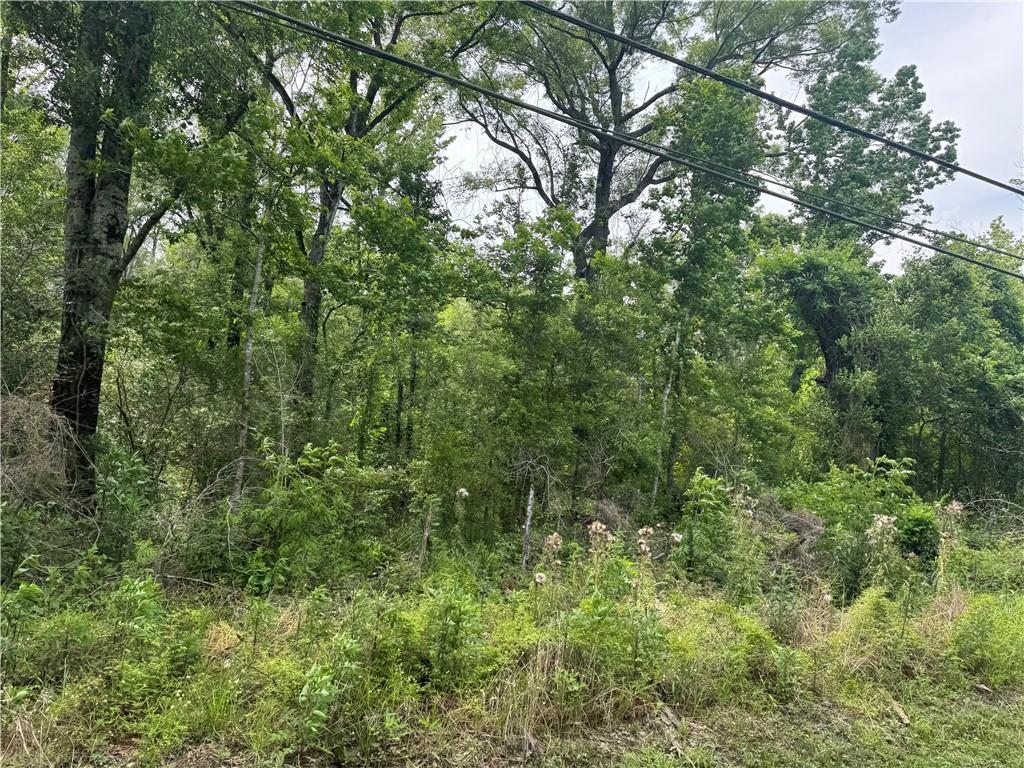 12558 N Central Ave, Roseland, LA 70456 - photo 1