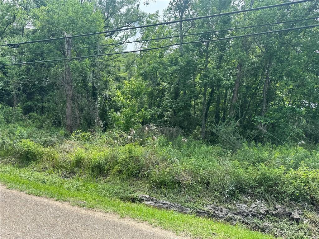 12558 N Central Ave, Roseland, LA 70456 - photo 2