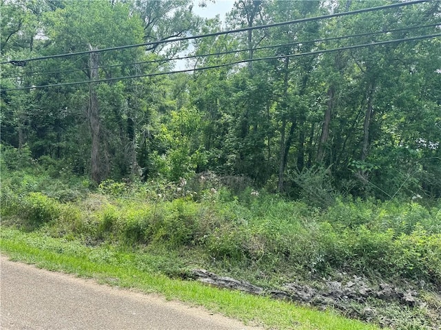 12558 N Central Ave, Roseland, LA 70456 - photo 2