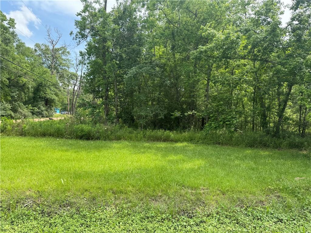 12558 N Central Ave, Roseland, LA 70456 - photo 3