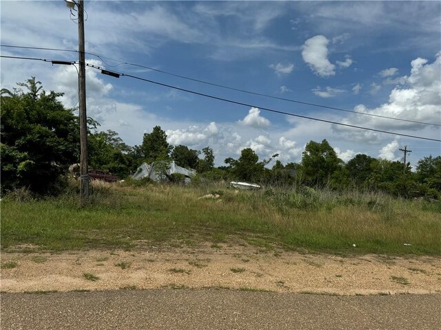Tangipahoa Ave, Roseland, LA 70456 - photo 2