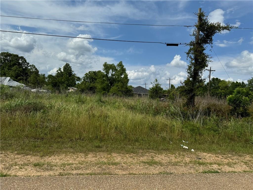 Tangipahoa Ave, Roseland, LA 70456 - photo 3