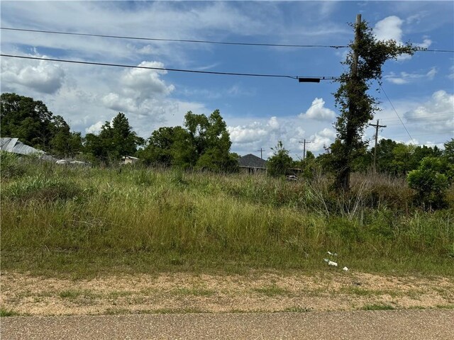 Tangipahoa Ave, Roseland, LA 70456 - photo 3