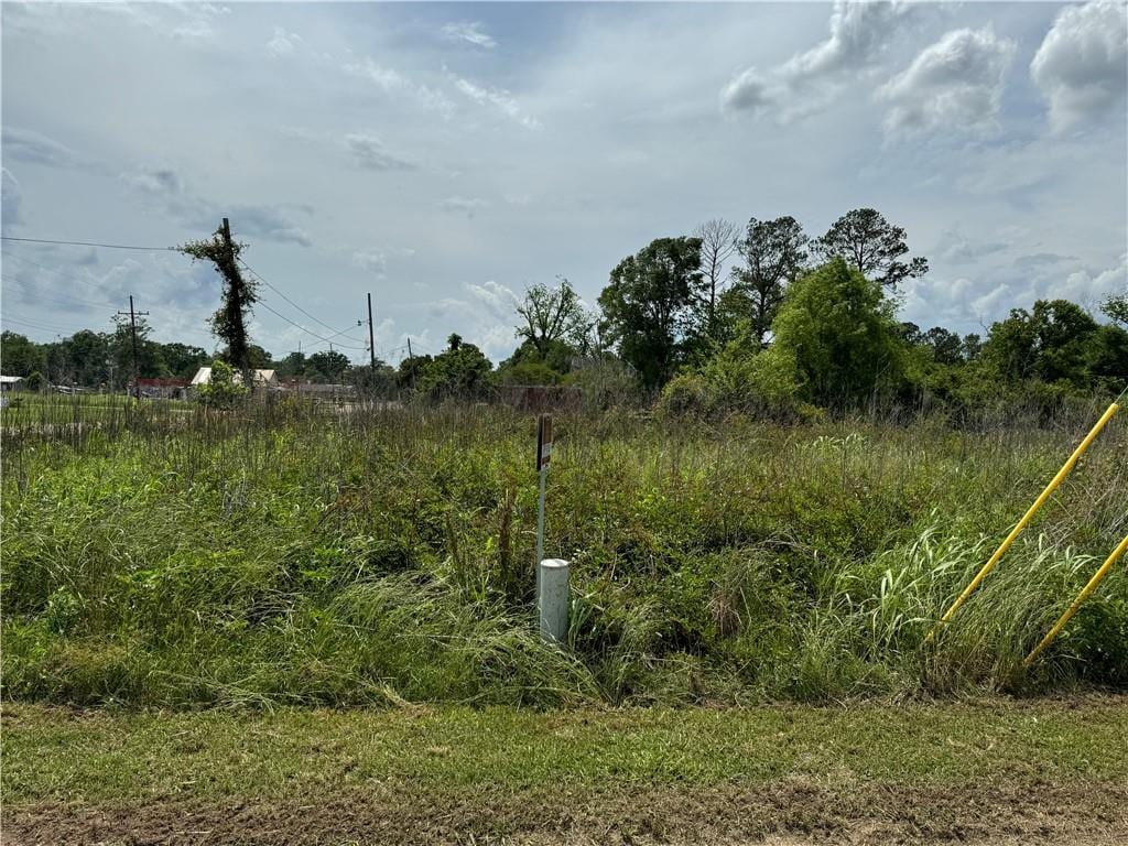 Tangipahoa Ave, Roseland, LA 70456 - photo 4