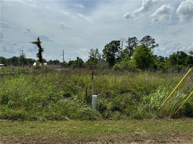 Tangipahoa Ave, Roseland, LA 70456 - photo 4