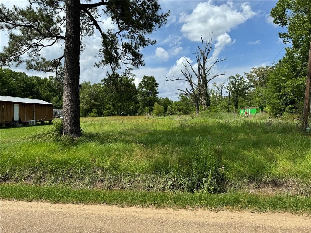Roseland Ave, Roseland, LA 70456 - photo 2