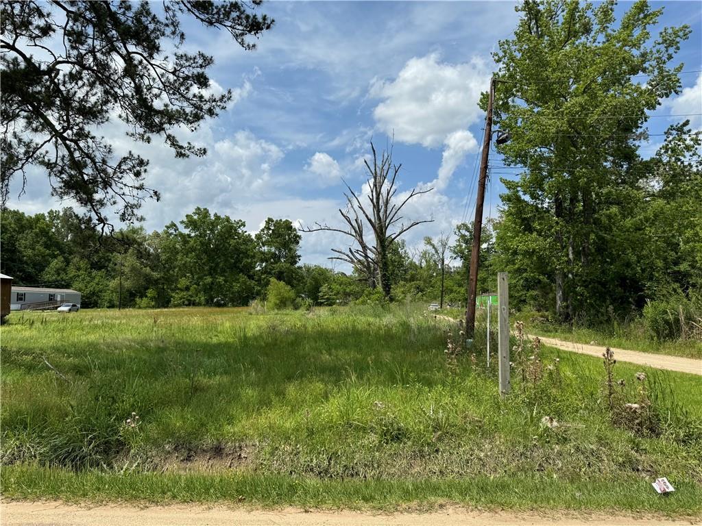 Roseland Ave, Roseland, LA 70456 - photo 3